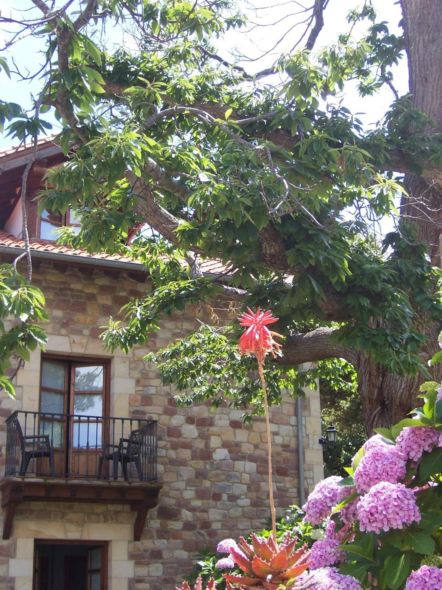 Posada Fuentedevilla Pechón Exteriör bild